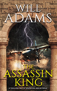 The Assassin King book cover